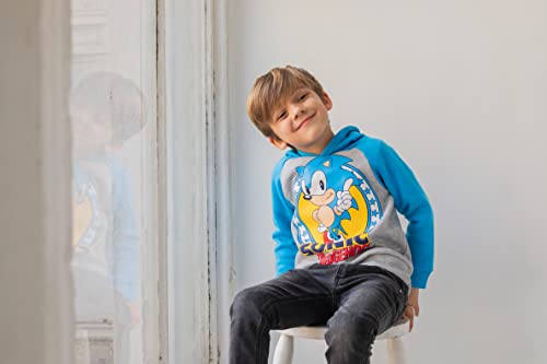 Image of SEGA Sonic the Hedgehog Boys' Fleece Hoodie Toddler to Big Kid