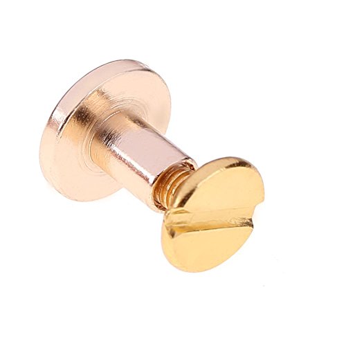 Whitelotous 20Pcs Copper Rivets For Leather Binding Chicago Screws Nail Rivets Diy Craft Craft(Gold)(8Mm) #TOP7