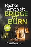 Bridge to Burn: A gripping cold case mystery (Detective Kay Hunter, 7) (large print)