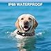 Upgraded Airtag Dog Collar Waterproof, Adjustable GPS Training Nylon Dog Collar with AirTag Holder, Control Handle and Quick-Release Buckle for Medium and Large Dogs (Black, L)