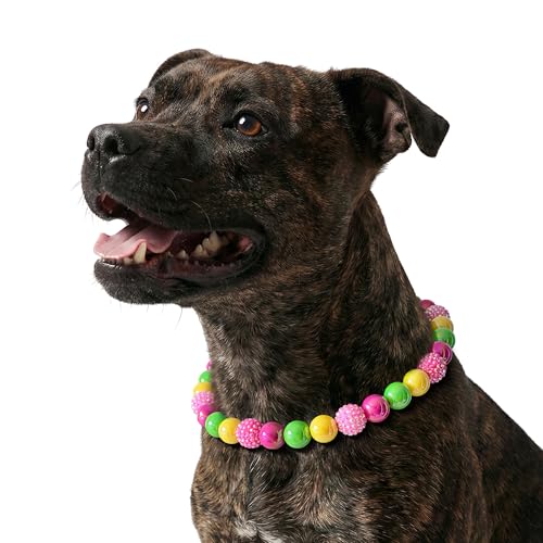 JOGIA Beaded Dog Necklace Collar Adjustable Jewelry-Inspired Design with Sparkle Beads (Vivid Tropics Medium)