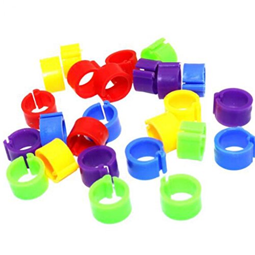 Afco 100Pcs 8Mm Identification Pigeons Band,Parrot Bird Opening Foot Rings Bird Supplies #TOP4