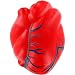 ARIEL Heart with Veins Stress Toy