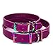 Handmade Spiked Personalized Bridle Leather Dog Collar, Rainbow Hardware, Embossed Name (Magenta Purple)