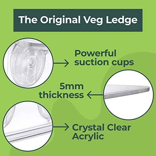 Image of Window Garden Veg Ledge Suction Cup Window Shelf - Create an Indoor Garden, Hold Your Planter Pots, Seed Starter, Figurines on Your Window. Grow Herbs, Microgreens, Succulents, Sleek (3 Pack)