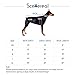 SCENEREAL Dog Winter Coat Christmas Reversible Jacket Warm Cold Weather Coats Windproof Waterproof Buffalo Plaid Vest Clothes for Small Medium Large Dogs Pets