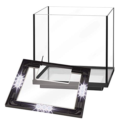 Aqueon 00800098: Aquarium Kit Led Shrimp Tank 7.5G #TOP4
