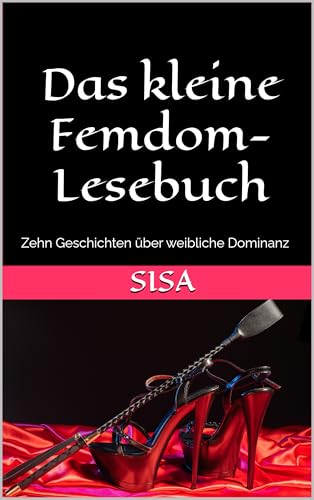 Das kleine Femdom-Lesebuch: Zehn Geschichten über weibliche Dominanz