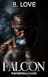 Falcon the Football Player (English Edition)
