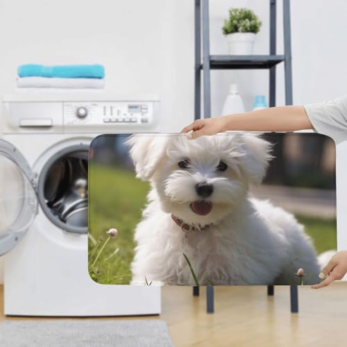 Tapis de bain lavable microfibre absorbante Bichon on the Grass ensemble WC 3 pcs - 8