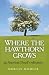 Where the Hawthorn Grows: An American Druid's Reflections