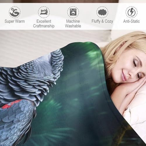 Couverture polaire confortable plaid doux en flannel imprimé pour voyage