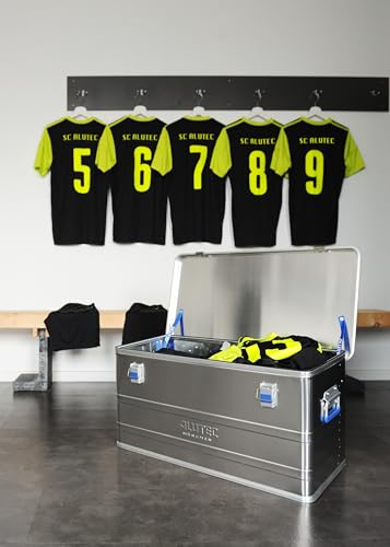 ALUTEC Aluminiumbox COMFORT 30 (Inhalt 30 l, Innenmaße (LxBxH) 400 X 300 X 248 mm, staub-/spritzwassergeschützt, Werkzeugbox, Aufbewahrungskiste, Gewicht 3,01 kg) 12030