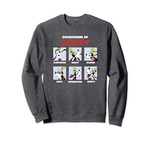 Sweatshirt Goofy Disney Mickey Friends vêtement streetwear pull imprimé