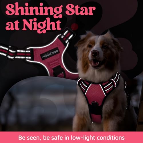 rabbitgoo Dog Harness for Large Dogs, No Pull Pet Vest with 3 Buckles, Adjustable Soft Padded Pet Harness with Easy Control Handle and Reflective Strips, Pink, L - Image 7