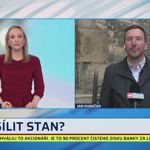 &Scaron;&eacute;f Sen&aacute;tu uvažuje jako politick&yacute; sebevrah, m&iacute;n&iacute; Kub&aacute;ček. Zm&iacute;nil dětinskou chybu s letounem