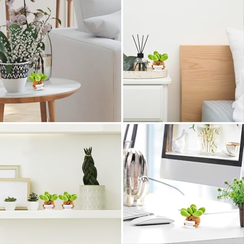 Image of Hoedia Handmade Emotional Pickle Gift, Cucumber Crochet Doll Inspirational Gifts with Cards, Cute Knitted Funny Support Pickle Potato Friend Birthday (Positive Succulent)