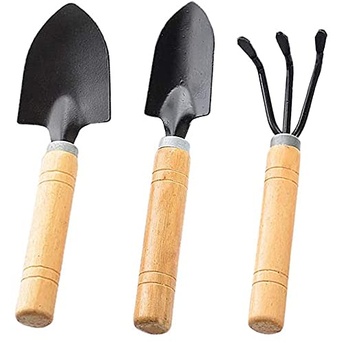 3 Pièces Kits d'outils Jardin, Outils de Jardinage, Ensemble d'outils de Jardin, Métal Manche Bois Miniature Jardin Râteau pour Plantes d'Intérieur Et d'Extérieur, Pot Fleurs, Jouets Plage, Noir Cover