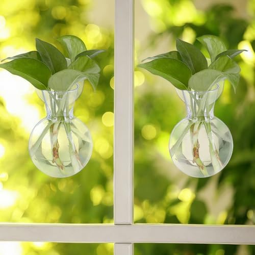 Doodlream 8 PCS Window Hanging Propagation Stations, Glass Water Planting Vases with Suction Cups, No Nails Wall Hanging Hydroponic Plant Terrariums for Pothos Ivy Herbs, Indoor Home Garden Decor - 3