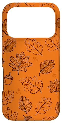 gt H X}zP[X iPhone 17 Pro p