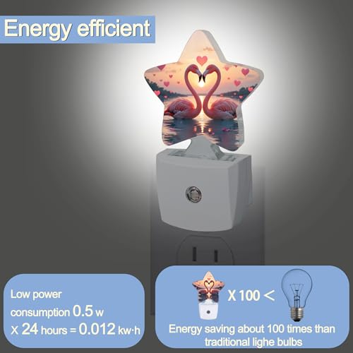 Image of Beach Flamingos Night Lights Plug Into Wall,Romantic Love Heart Star Night Light for Kids,Nightlight with Dusk to Dawn Smart Sensor for Bedroom Bathroom Decor,Children Women Men Gift