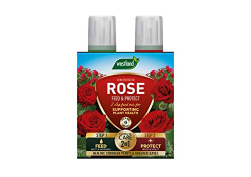 Westland Rose Feed & Protect Concentrates 2 in 1 (2 x 500 ml) Green 20100417