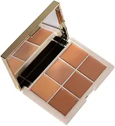 PALETA CORRETIVO - COR 2 7,2g