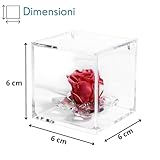 DC DEBORA CARLUCCI B0FQV29PPH lato 3