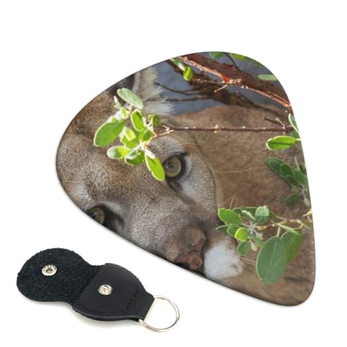 N[K[ GLx[XENsbN Abs fރGARy 0.96mm