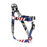  Wolfgang Man & Beast pledgeallegiance Print, Extra Large
