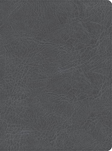 CSB He Reads Truth Bible, Smoke LeatherTouch, Indexed, Black Letter, Wide Margins, Journaling Space, Study Tools, Reading Plans, Maps, Charts, Easy-to-Read Bible Serif Type -  Imitation Leather