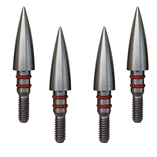 Aklisdlha Field Points Arrowheads 100/125/150/200/300 Grains Archery Field Points,Stainless Steel Screw In Archery Field Tips And Broadheads (1 Dozen 12 Pcs) (5/16″-100 Grains) #TOP2