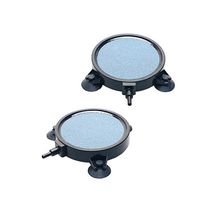 Buy Pawfly Aquarium 4 Inch Air Stone Disc Bubble Diffuser Release Tool