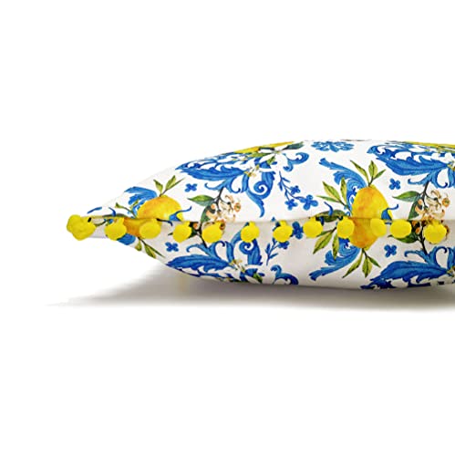 Lemon Pillow Cover - Baroque Lemons Throw Pillow, Yellow Lemons With Blue Damask Lemon Print Pillow Case, Citrus Lemon Decorative Pillow (20X20) #TOP1