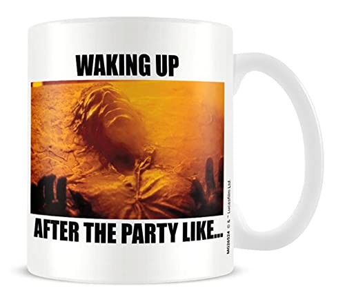 Star Wars Han Solo Ceramic Mug in Presentation Gift Box (Carbonite Design), 11oz Ceramic Mug- Official Merchandise