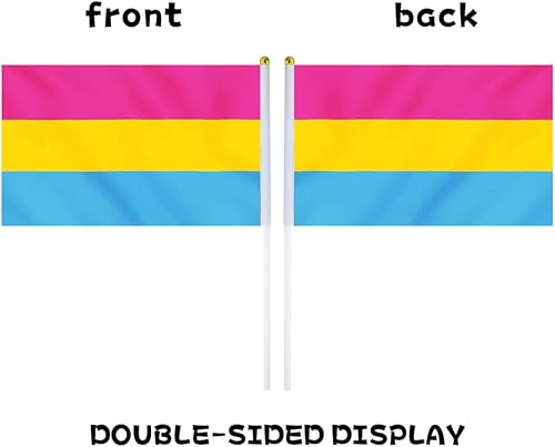 Miniatura 3 de Bandera pansexual con bandera, pequeña mini banderas de mano del orgullo pansexual en palos para desfiles, fiestas, festivales y decoraciones