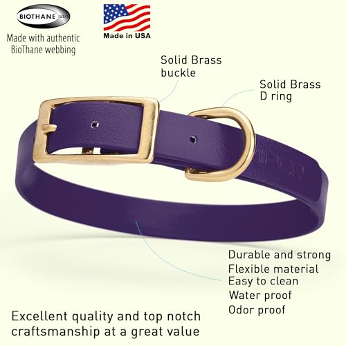 Image of Viper Biothane Heavy Duty Waterproof Dog Collar Strong Coated Nylon Webbing w /Solid Brass Hardware Odor-Proof Easy to Clean High Performance Fits Small Medium or Large Dogs, Violet Purple
