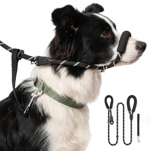 Figure of 8 Dog Lead: Anti Pull Harness with Nose Padding Dual-Use Stop Pulling Training Lead for Medium/Large Dogs Reflective & Safety Clip (Medium 1.2 Centimeters 180 Centimeters)