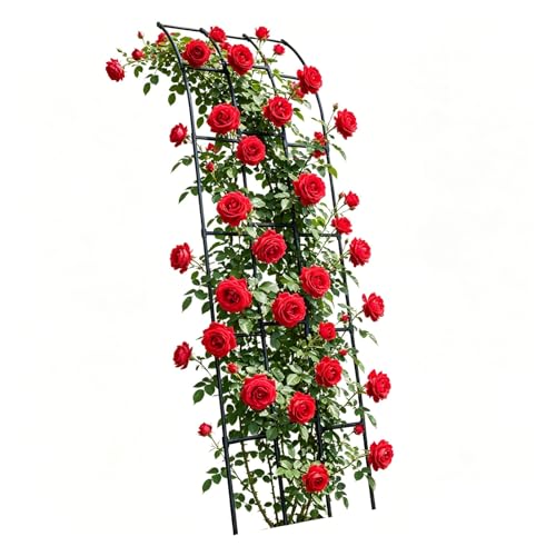 Support pour vignes et fleurs arche de jardin en métal murale