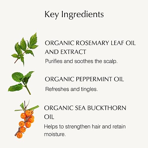 John Masters Organics Conditioner For Fine Hair With Rosemary & Peppermint 8 Oz #TOP3