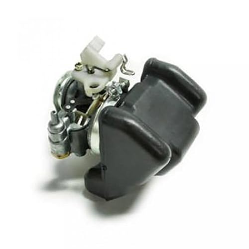 Vergaser P2R FüR Moped Peugeot 50 103 Hp 1971 Bis 2020 Neu-image