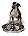 SunnyDogs Welpennapf | runder Welpen Fressnapf | Welpen Futternapf für Hundekinder aus rostfreiem Edelstahl | Welpenring Ø 39 cm mit Knauf