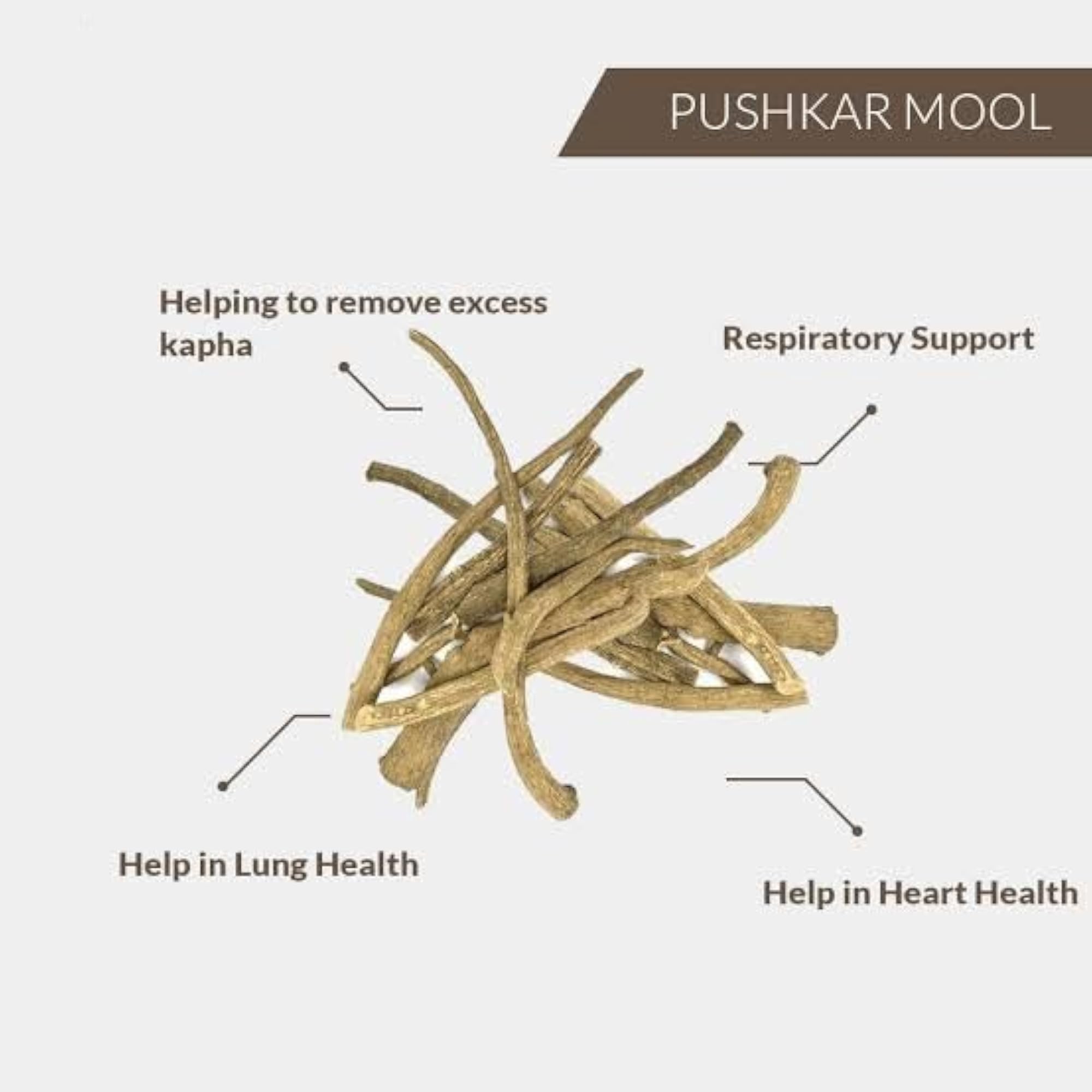 Ayurvedic Zone Pushkarmool Roots, Herbal Supplement, 200 gm