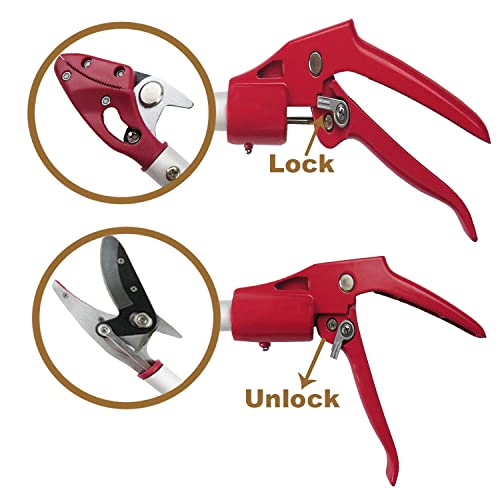 Mesoga 6 Feet Cut And Hold Tree Pruner, Rotation Pole Tree Trimming, Long Reach Fruit Picker, Branches Bypass Lopper #TOP2