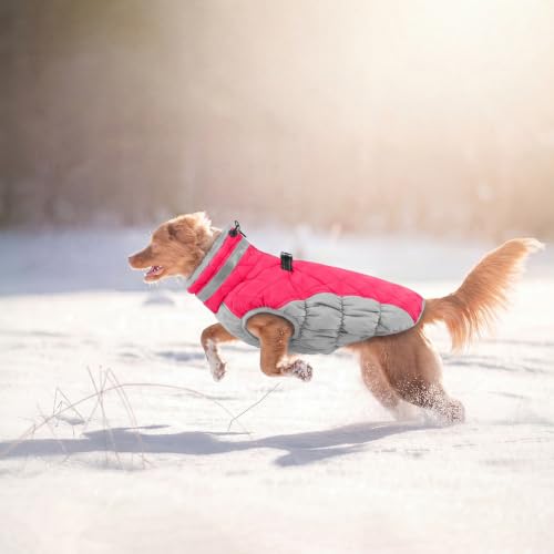 Image of Lelepet Dog Coat Warm Dog Winter Coat Waterproof Dogs Jacket with Harness