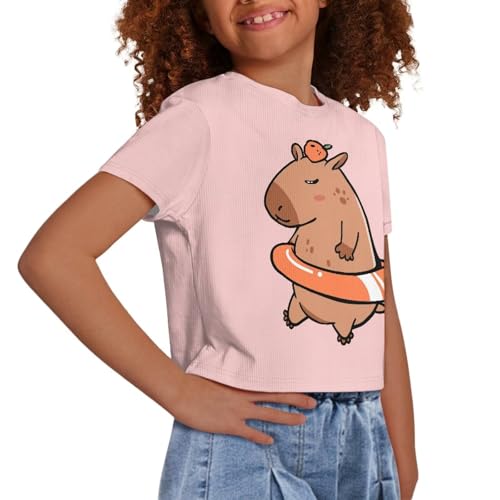 Image of Girls Crop Tees Crew Neck Casual Short Sleeve T Shirts Kids Loose Soft Comfortable Tees Blouses Shirt for Little Girl