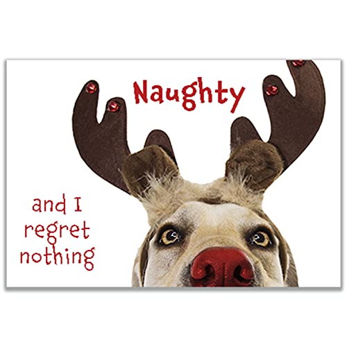 Allynn's 20 Funny Naughty Dog Christmas Cards, Boxed with Envelopes, 10 Define Naughty and 10 Feliz Naughty Dog cards (Regret Nothing!)