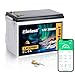 Elefast 12V 300AH Lifepo4 Battery,12V Lithium RV Battery Built-in 200A BMS and Bluetooth,Max 3840Wh,Up to 8000 Deep Cycle.Perfect for RV,Solar Energy,Off-Grid System