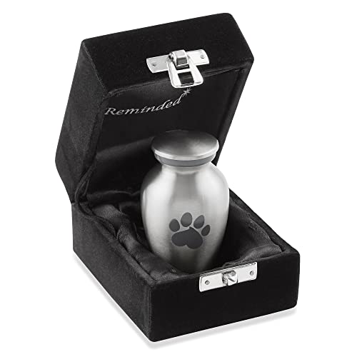Reminded Pet Cremation Urns for Dog and Cat Ashes Memorial Paw Print Urn  Extra Small Keepsake Silver  Cucciolini Doodles Reminded pet cremation urns for dog and cat ashes memorial paw print urn  extra small keepsake silver   cucciolini doodles