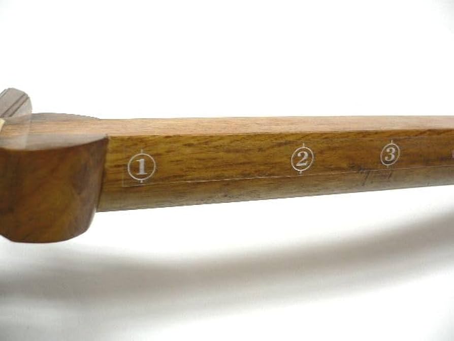 Amazon.co.jp: 三味線 譜尺（勘所）シール 5枚セット : おもちゃ